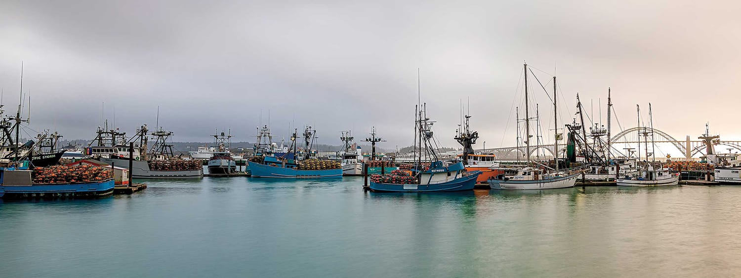The commercial fishing fleet moored in still water along the historic bayfront in Newport, Oregon, stacked crab pots on the docks and the Yaquina Bay Bridge faint in the overcast behind them, early morning.